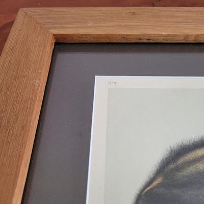 Audubon Original Royal Octavo Print Wall Art (BR2-EL)