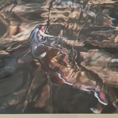 Four Signed Framed Photos (BR3-KD)