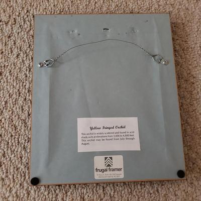 Four Signed Framed Photos (BR3-KD)