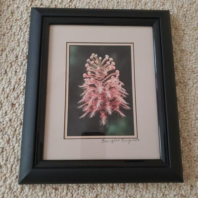 Four Signed Framed Photos (BR3-KD)