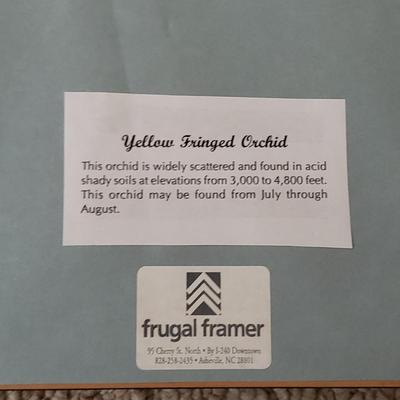 Four Signed Framed Photos (BR3-KD)