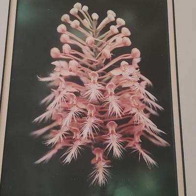 Four Signed Framed Photos (BR3-KD)