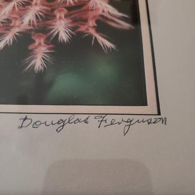 Four Signed Framed Photos (BR3-KD)