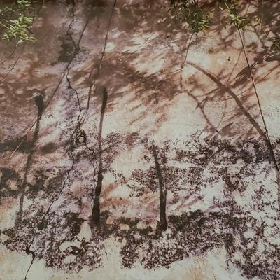 Four Signed Framed Photos (BR3-KD)