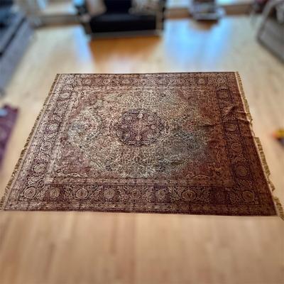 8' x 10' Hand Knotted Silk Area Rug (D-BM)