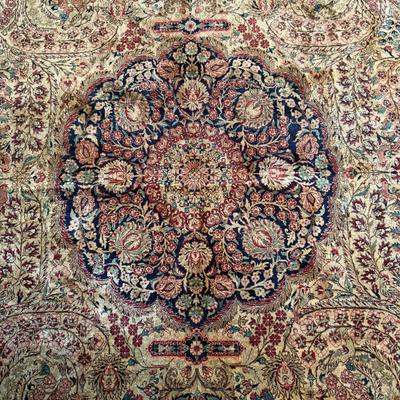 8' x 10' Hand Knotted Silk Area Rug (D-BM)