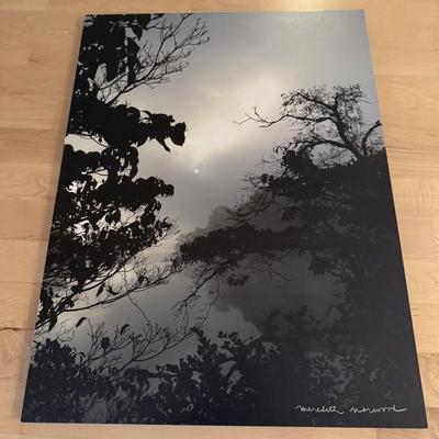 Early Fall Morning by Meredith Norwood (D-BM)