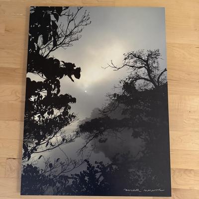 Early Fall Morning by Meredith Norwood (D-BM)