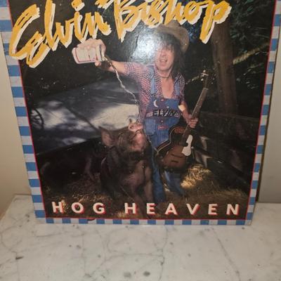Vinyl record lot
