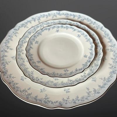 Franconia Delphine China Set – Service for 14