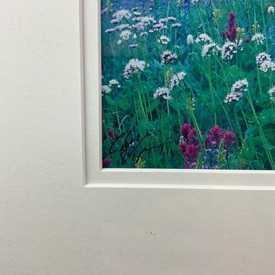 Sale Photo Thumbnail #1469: Signed
Double matted
Measures: 22" wide x 18" high
