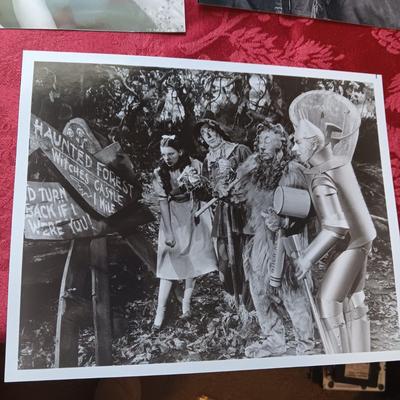 PROMOTIONAL 8 X 10 PHOTOS