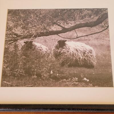 Aletha Rector Sheep Sculpture and "Sheep Twins" Photograph (BR1-EL)