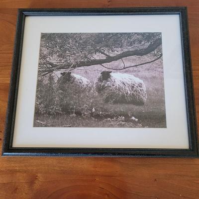 Aletha Rector Sheep Sculpture and "Sheep Twins" Photograph (BR1-EL)