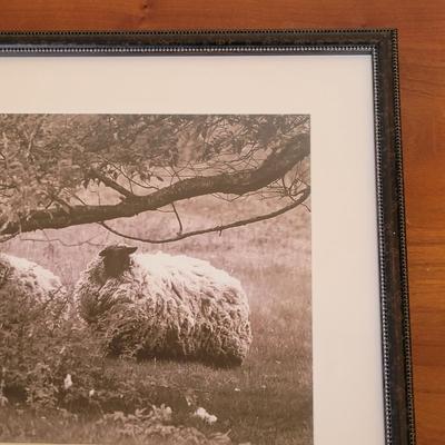 Aletha Rector Sheep Sculpture and "Sheep Twins" Photograph (BR1-EL)