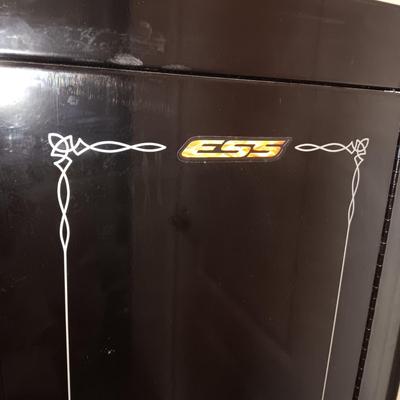 ESS GUN SAFE WITH 4 SHELVES AND 14 RIFLE RESTS