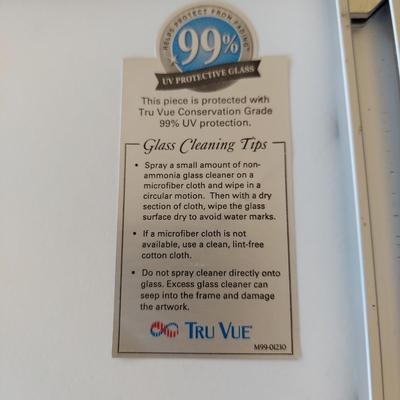 Alan Siegal Framed Gallery Poster (BR1-BBL)