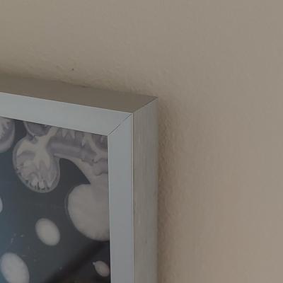 Alan Siegal Framed Gallery Poster (BR1-BBL)