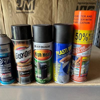 HOUSEHOLD AND YARD CHEMICALS