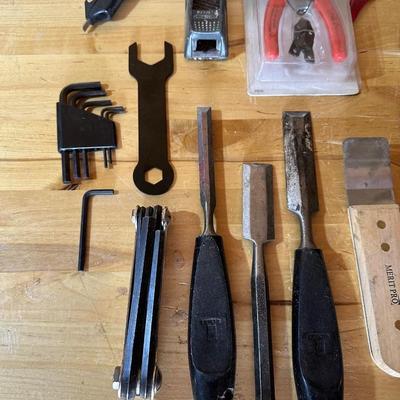 A VARIETY OF HAND TOOLS