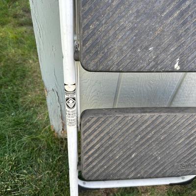 DOLLY AND A FOLDING STEP LADDER
