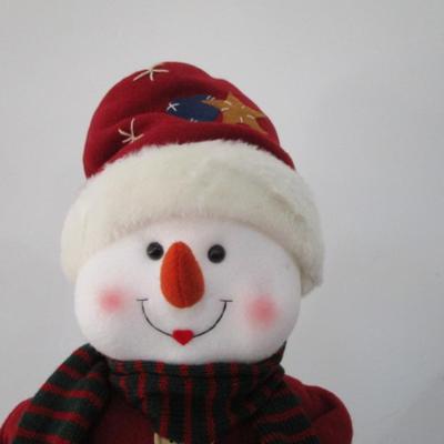 Tina, the Lighted Snow Lady