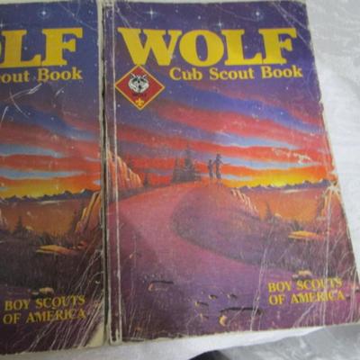 Scouting books
