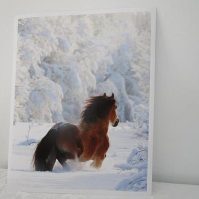 " His Divine Presence" poster (bison), Horse in snow poster