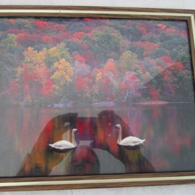 8 framed pictures