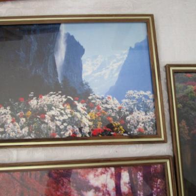 8 framed pictures