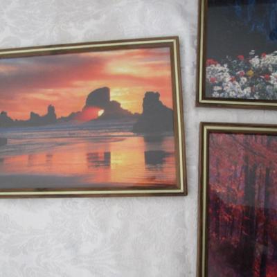 8 framed pictures