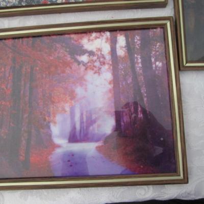 8 framed pictures