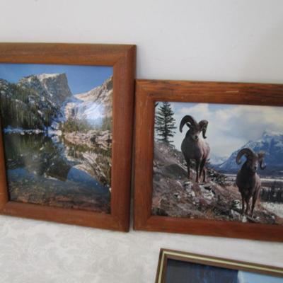 8 framed pictures