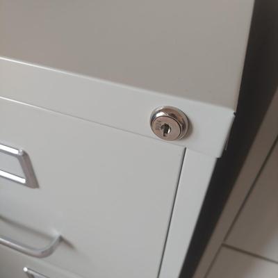 Two Metal File Cabinets (BR1-BBL)