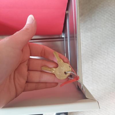 Two Metal File Cabinets (BR1-BBL)