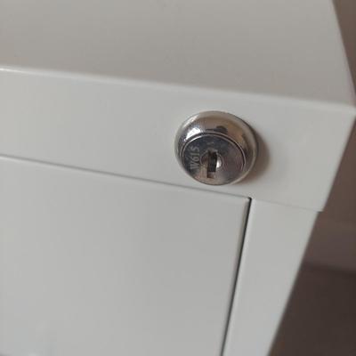 Two Metal File Cabinets (BR1-BBL)