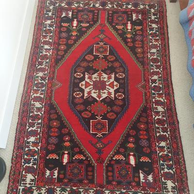 4’ x 7’ Hand Knotted Area Rug (BR1-BBL)