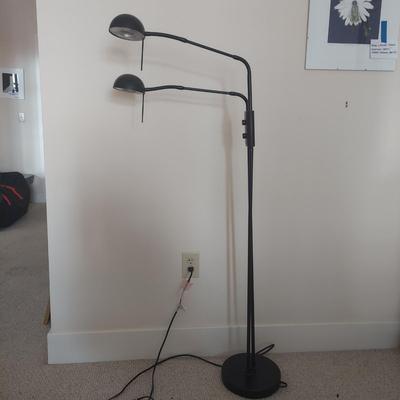 Double Arm Pin Floor Lamp (BR1-BBL)
