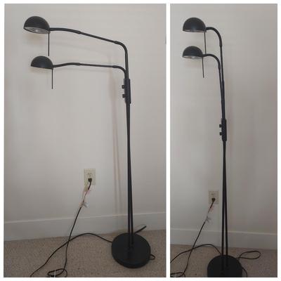 Double Arm Pin Floor Lamp (BR1-BBL)