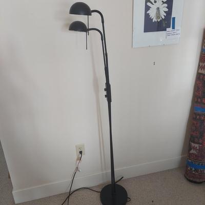 Double Arm Pin Floor Lamp (BR1-BBL)