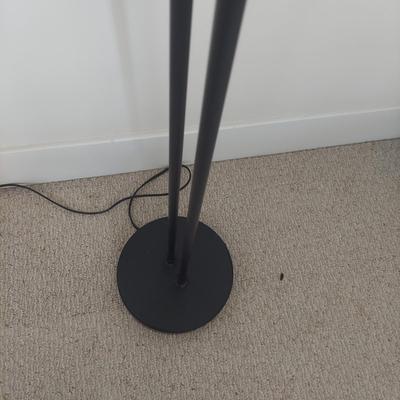 Double Arm Pin Floor Lamp (BR1-BBL)