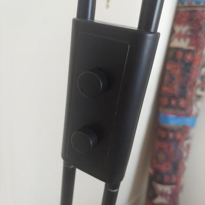 Double Arm Pin Floor Lamp (BR1-BBL)