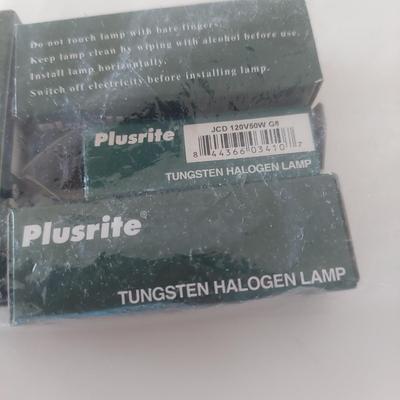 Double Arm Pin Floor Lamp (BR1-BBL)