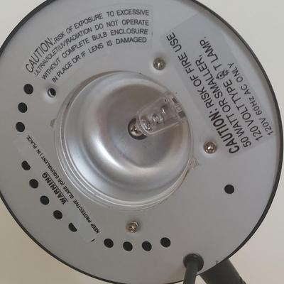 Double Arm Pin Floor Lamp (BR1-BBL)