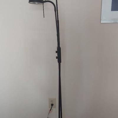 Double Arm Pin Floor Lamp (BR1-BBL)