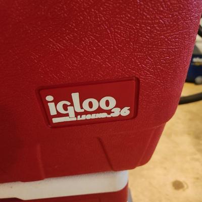 Lot of 3 Coolers 2 Igloo Coolers 1 Coleman