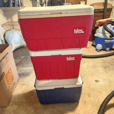 Lot of 3 Coolers 2 Igloo Coolers 1 Coleman