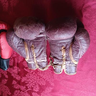 SIGNED BOXING GLOVES