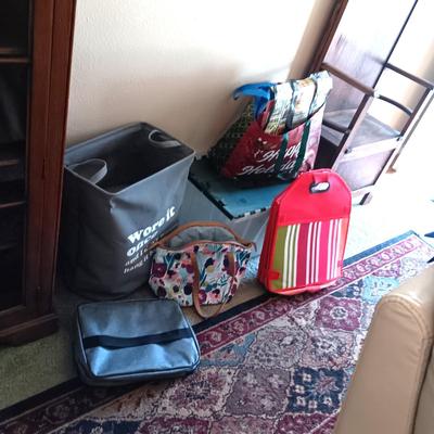 STORAGE TOTE WITH CLAM SHELL LID, GROCERY BAGS AND OTHER CARRY BAGS