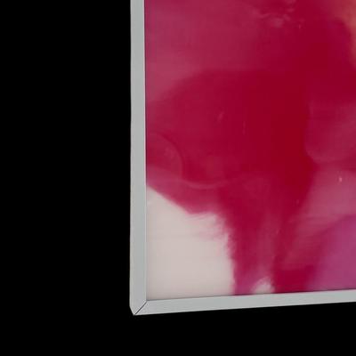 Large Floral Photograph 49 1/2” x 49 1/2”(Approximately)